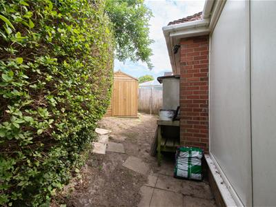 Picture 14
